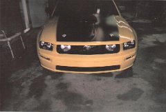 Seales Autobody 2005 Ford Mustang 06